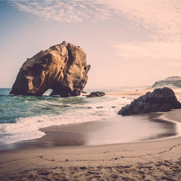 default avatar 2020 10 1 768x768