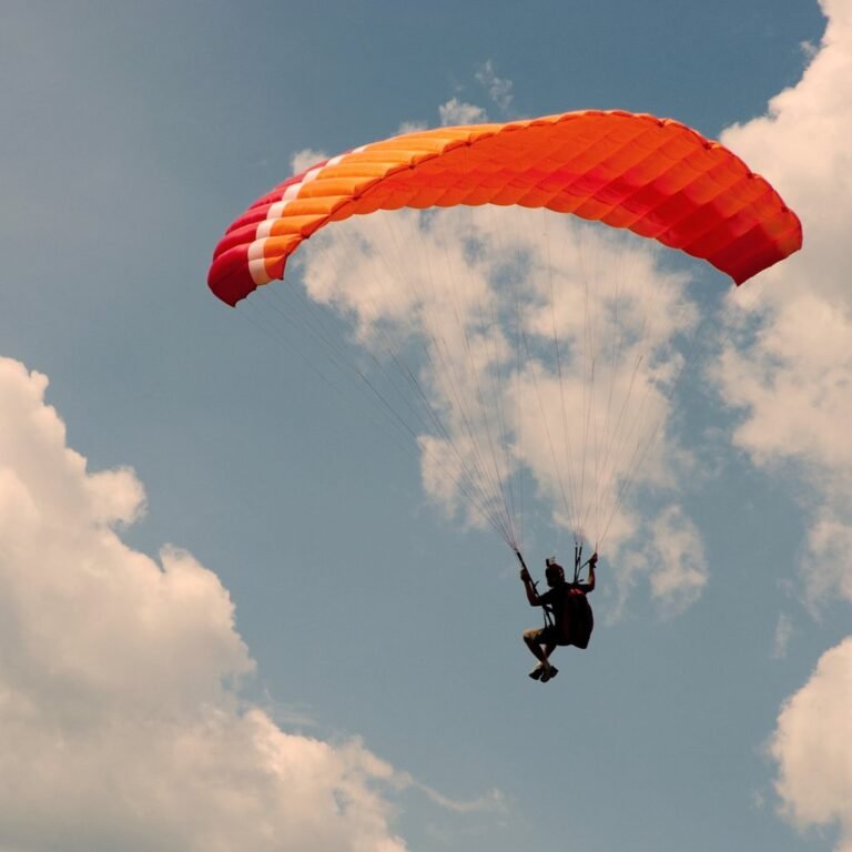 default avatar 2020 5 1 768x768