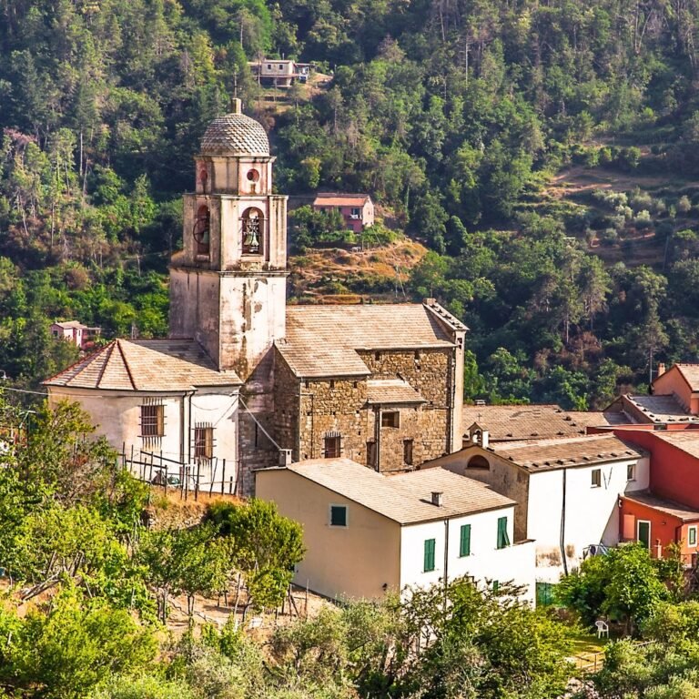 default avatar 2020 63 1 768x768