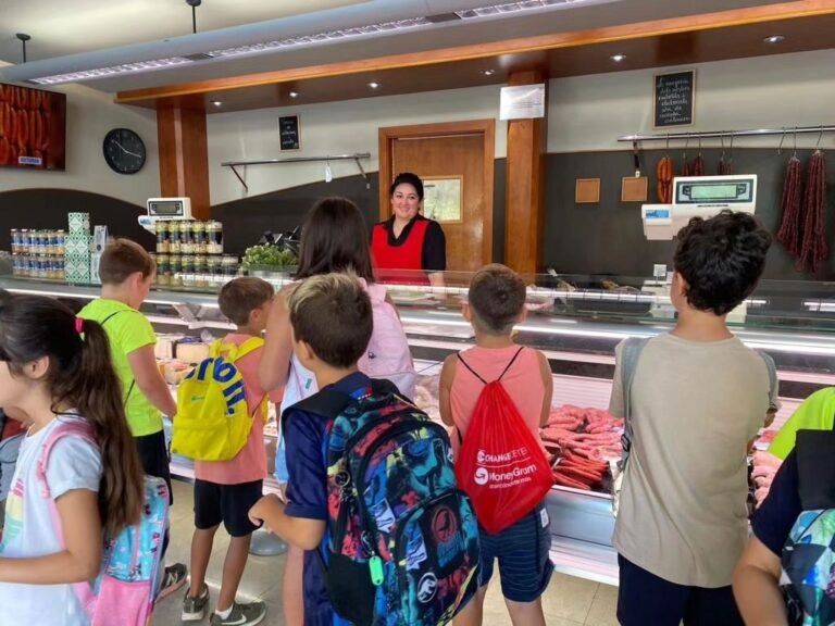 365769540 823661715902087 7594437280565091925 n 1 768x576