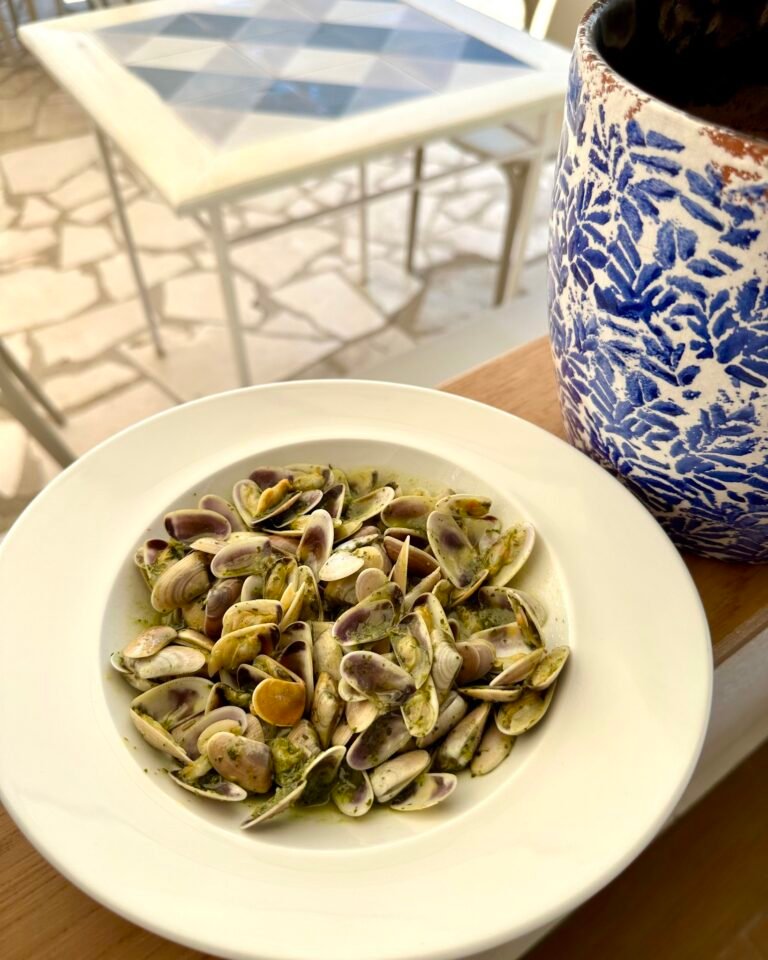 374479809 803878808409550 6817310959535263253 n 768x960